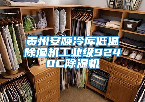 貴州安順冷庫低溫除濕機工業(yè)級9240C除濕機