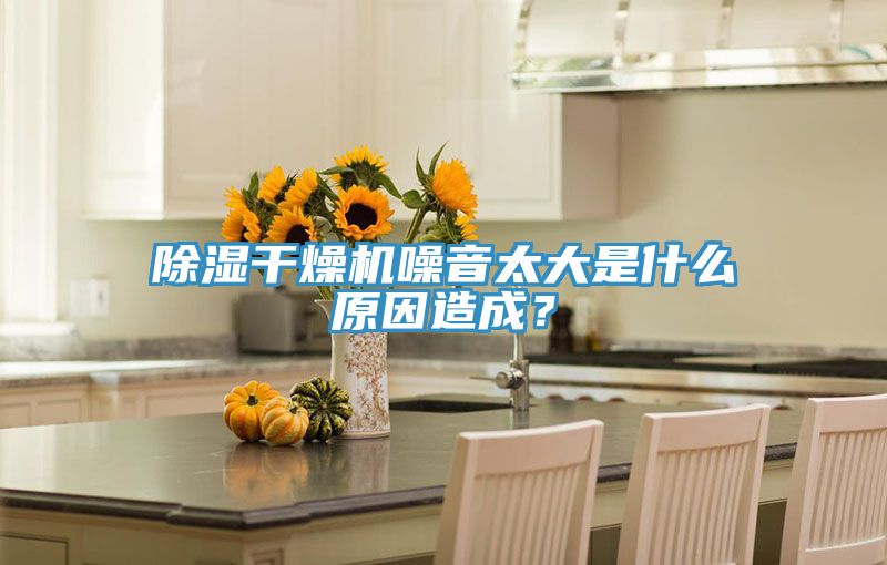除濕干燥機(jī)噪音太大是什么原因造成？