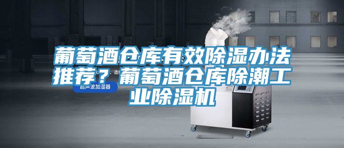葡萄酒倉庫有效除濕辦法推薦？葡萄酒倉庫除潮工業(yè)除濕機(jī)