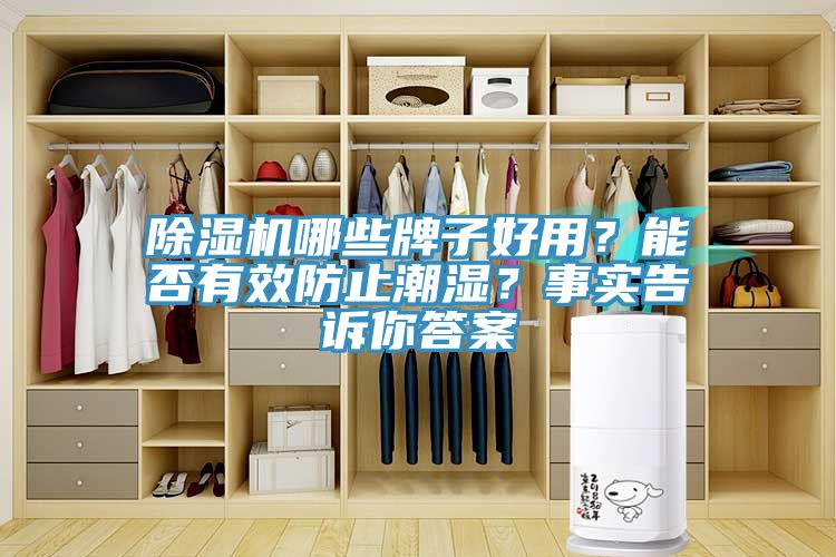 除濕機哪些牌子好用？能否有效防止潮濕？事實告訴你答案