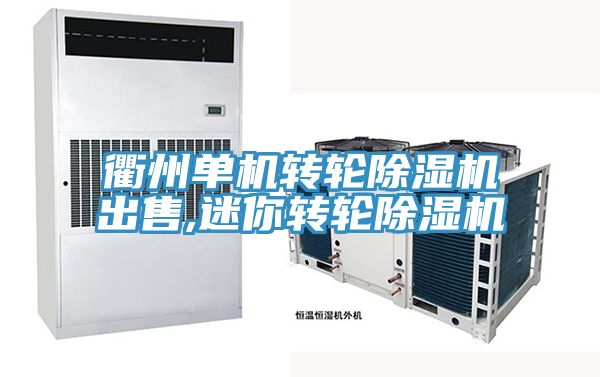 衢州單機(jī)轉(zhuǎn)輪除濕機(jī)出售,迷你轉(zhuǎn)輪除濕機(jī)