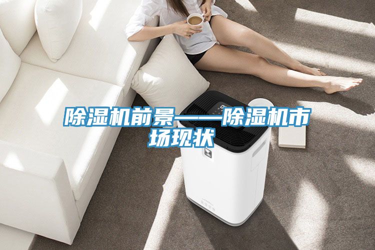 除濕機前景——除濕機市場現(xiàn)狀‍‍