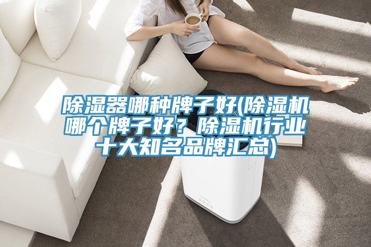 除濕器哪種牌子好(除濕機(jī)哪個牌子好？除濕機(jī)行業(yè)十大知名品牌匯總)