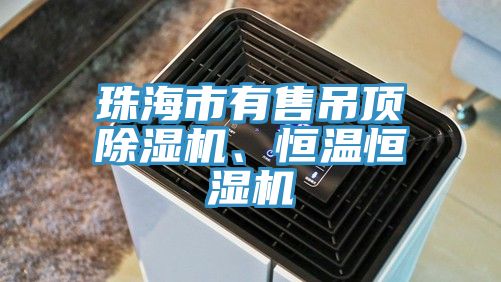 珠海市有售吊頂除濕機、恒溫恒濕機