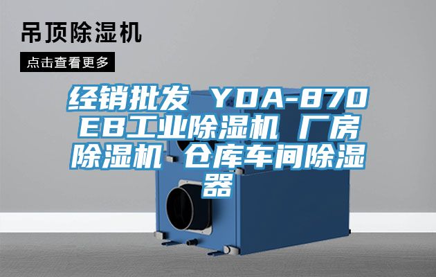 經(jīng)銷批發(fā) YDA-870EB工業(yè)除濕機 廠房除濕機 倉庫車間除濕器