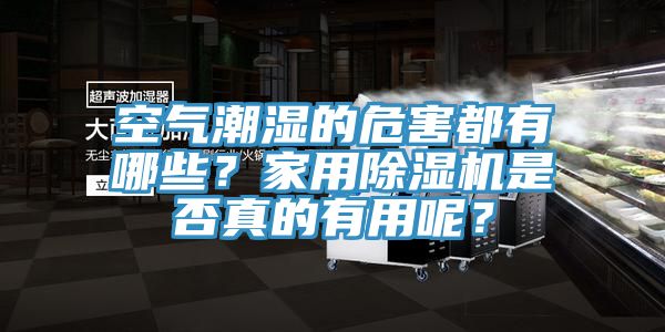空氣潮濕的危害都有哪些？家用除濕機(jī)是否真的有用呢？