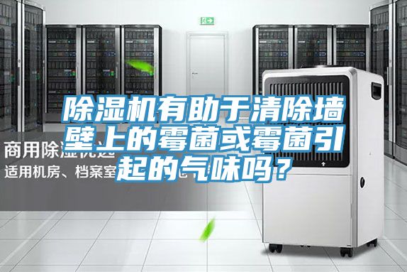 除濕機(jī)有助于清除墻壁上的霉菌或霉菌引起的氣味嗎？