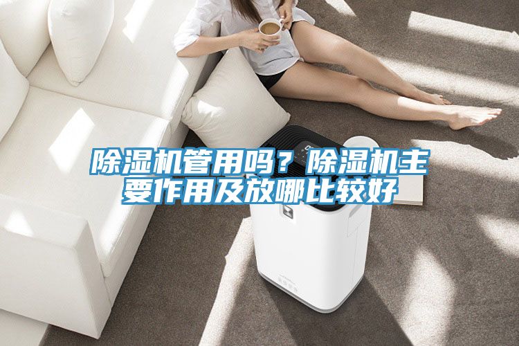 除濕機管用嗎？除濕機主要作用及放哪比較好