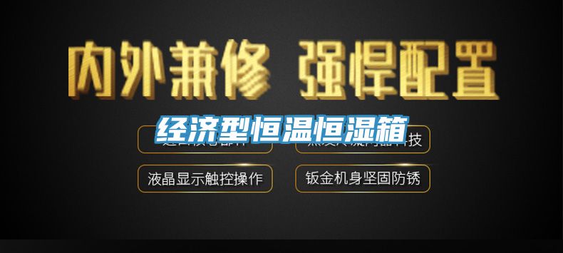 經(jīng)濟型恒溫恒濕箱