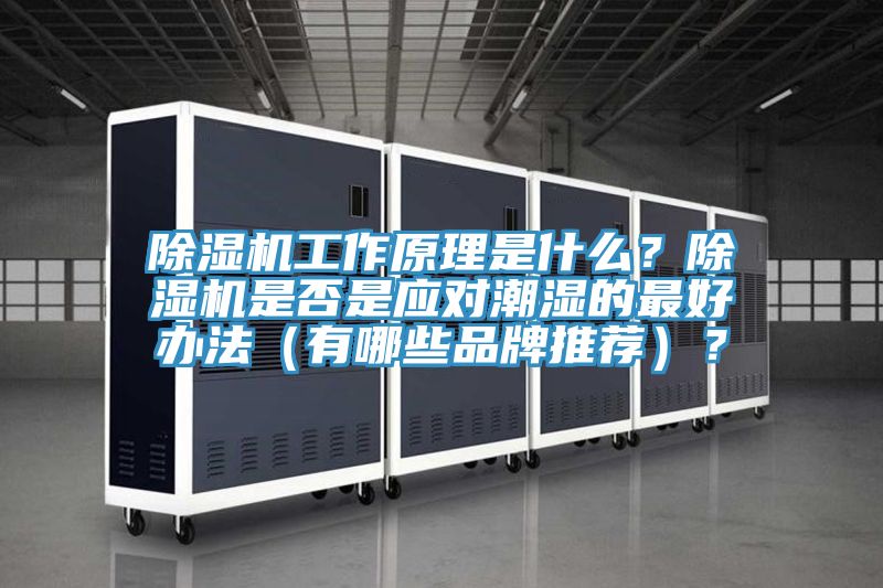 除濕機(jī)工作原理是什么？除濕機(jī)是否是應(yīng)對(duì)潮濕的最好辦法（有哪些品牌推薦）？