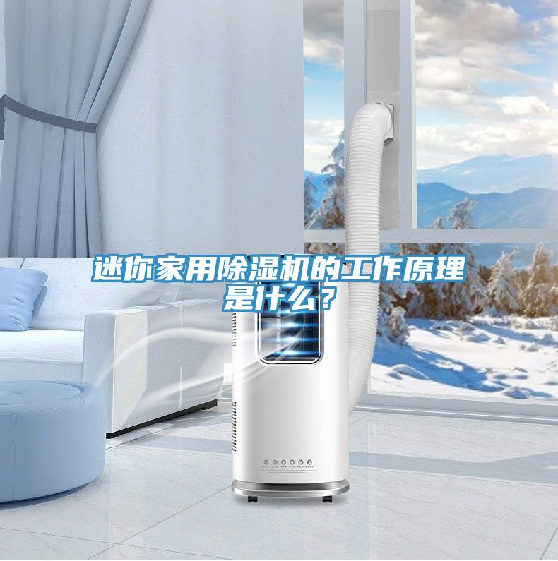 迷你家用除濕機(jī)的工作原理是什么？
