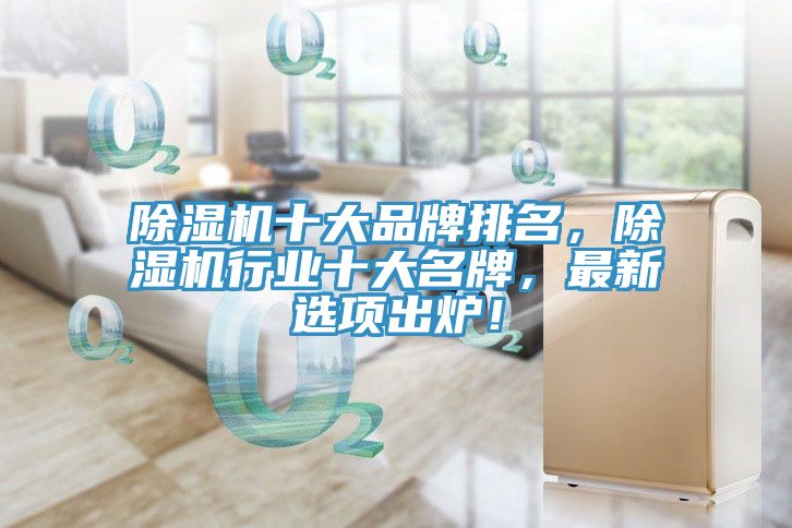 除濕機(jī)十大品牌排名，除濕機(jī)行業(yè)十大名牌，最新選項(xiàng)出爐！