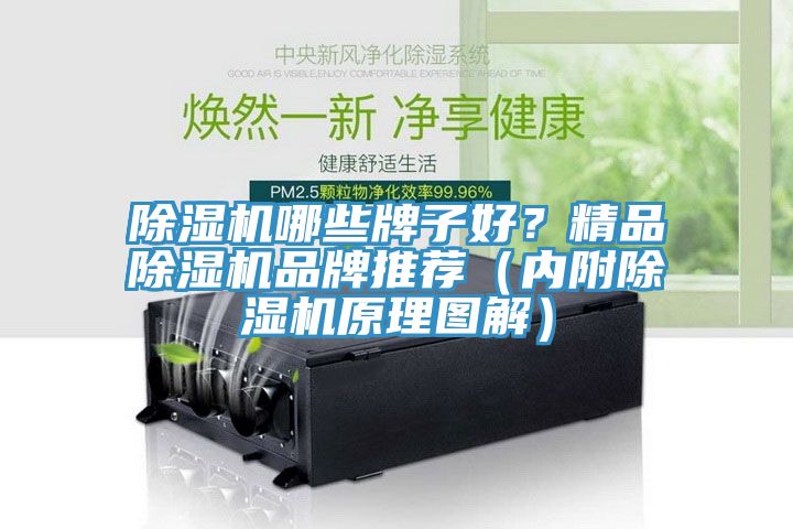 除濕機哪些牌子好？精品除濕機品牌推薦（內(nèi)附除濕機原理圖解）
