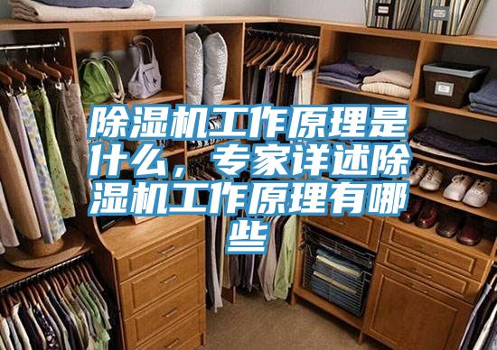 除濕機(jī)工作原理是什么，專家詳述除濕機(jī)工作原理有哪些