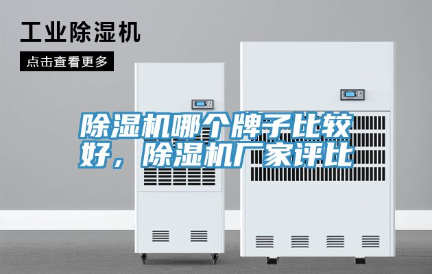 除濕機哪個牌子比較好，除濕機廠家評比