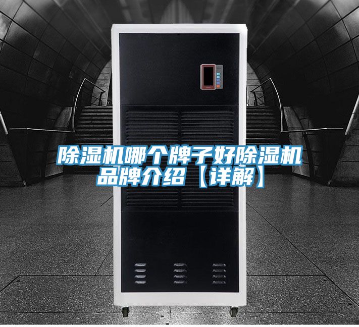 除濕機(jī)哪個(gè)牌子好除濕機(jī)品牌介紹【詳解】