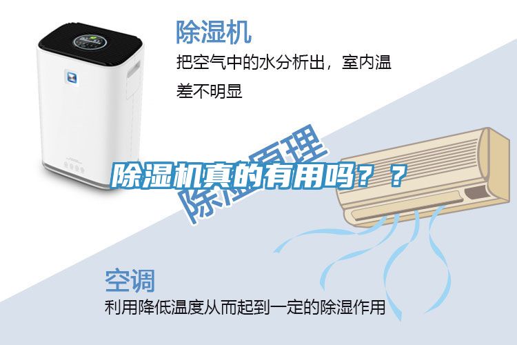除濕機(jī)真的有用嗎？？