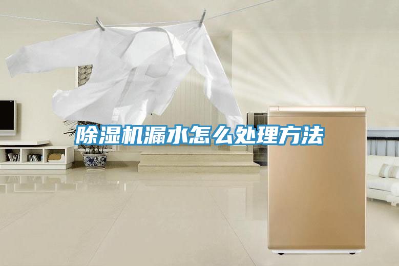 除濕機(jī)漏水怎么處理方法