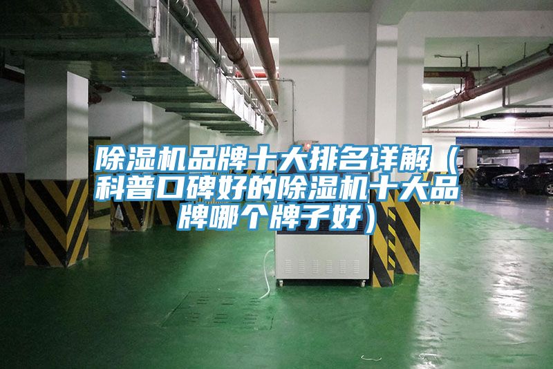 除濕機(jī)品牌十大排名詳解（科普口碑好的除濕機(jī)十大品牌哪個牌子好）