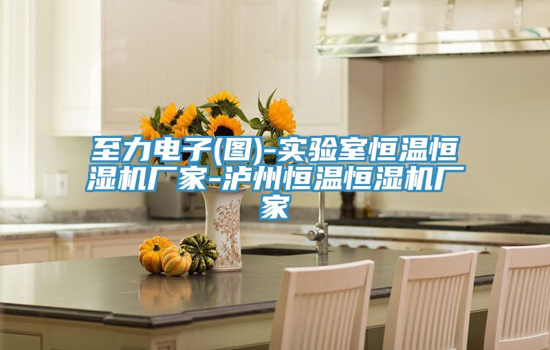 至力電子(圖)-實(shí)驗(yàn)室恒溫恒濕機(jī)廠家-瀘州恒溫恒濕機(jī)廠家