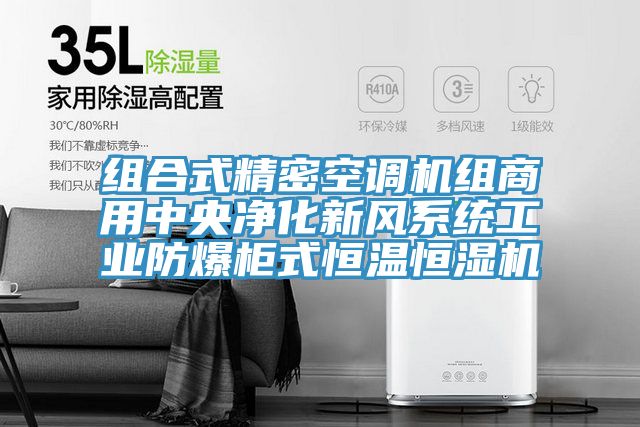 組合式精密空調(diào)機組商用中央凈化新風(fēng)系統(tǒng)工業(yè)防爆柜式恒溫恒濕機