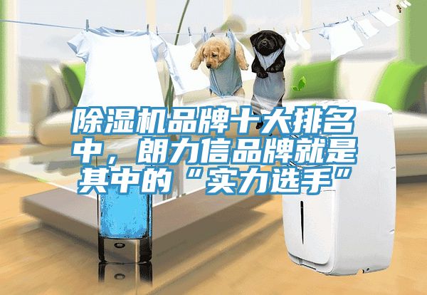 除濕機(jī)品牌十大排名中，朗力信品牌就是其中的“實(shí)力選手”