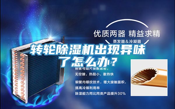 轉(zhuǎn)輪除濕機出現(xiàn)異味了怎么辦？