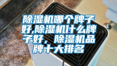 除濕機(jī)哪個(gè)牌子好,除濕機(jī)什么牌子好，除濕機(jī)品牌十大排名