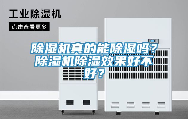 除濕機真的能除濕嗎？除濕機除濕效果好不好？