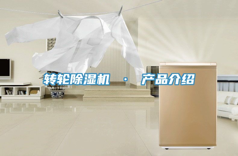 轉(zhuǎn)輪除濕機(jī) · 產(chǎn)品介紹
