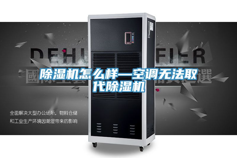 除濕機(jī)怎么樣—空調(diào)無法取代除濕機(jī)