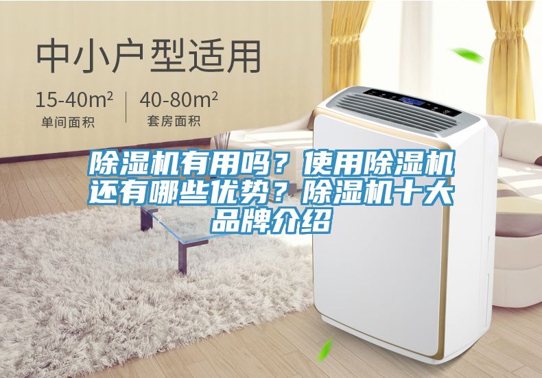 除濕機(jī)有用嗎？使用除濕機(jī)還有哪些優(yōu)勢？除濕機(jī)十大品牌介紹