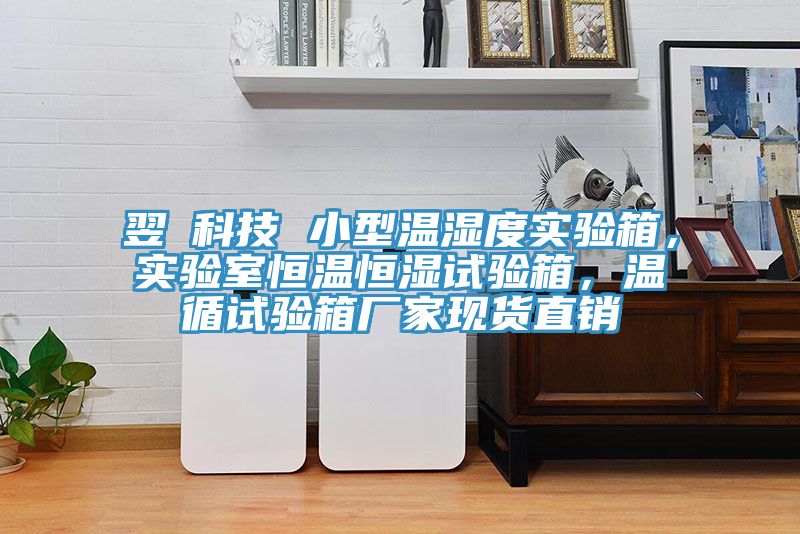 翌昇科技 小型溫濕度實(shí)驗(yàn)箱，實(shí)驗(yàn)室恒溫恒濕試驗(yàn)箱，溫循試驗(yàn)箱廠家現(xiàn)貨直銷