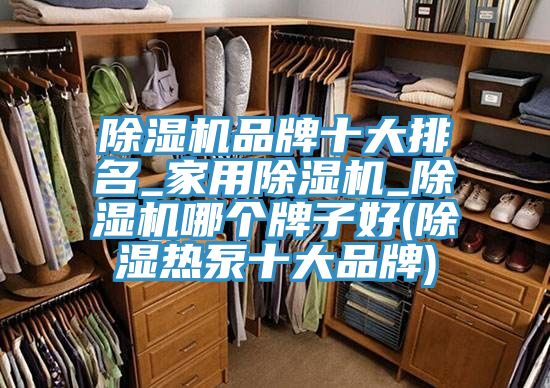 除濕機(jī)品牌十大排名_家用除濕機(jī)_除濕機(jī)哪個牌子好(除濕熱泵十大品牌)