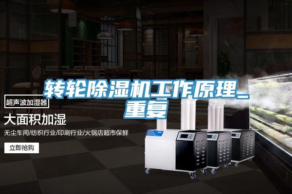 轉(zhuǎn)輪除濕機工作原理_重復