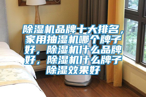 除濕機(jī)品牌十大排名，家用抽濕機(jī)哪個(gè)牌子好，除濕機(jī)什么品牌好，除濕機(jī)什么牌子除濕效果好