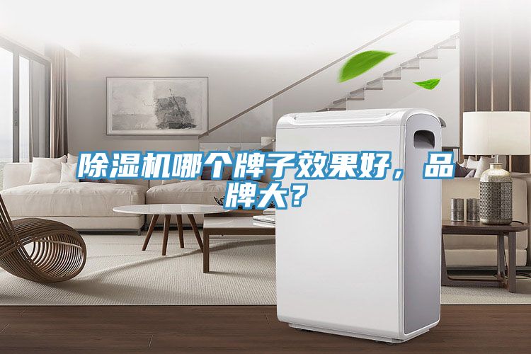 除濕機哪個牌子效果好，品牌大？