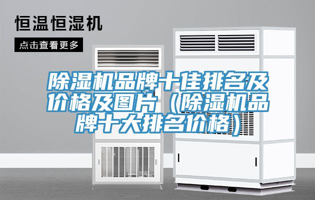 除濕機品牌十佳排名及價格及圖片（除濕機品牌十大排名價格）