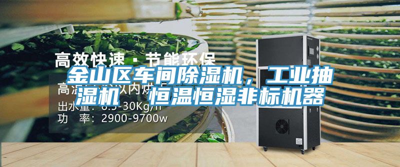 金山區(qū)車間除濕機(jī)，工業(yè)抽濕機(jī)  恒溫恒濕非標(biāo)機(jī)器
