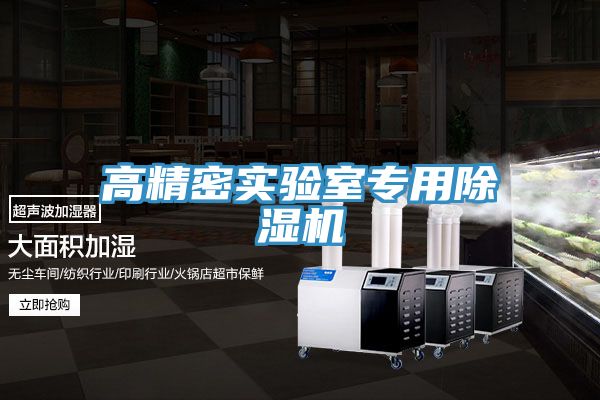 高精密實驗室專用除濕機(jī)