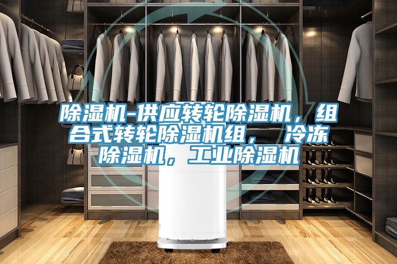 除濕機-供應(yīng)轉(zhuǎn)輪除濕機，組合式轉(zhuǎn)輪除濕機組， 冷凍除濕機，工業(yè)除濕機