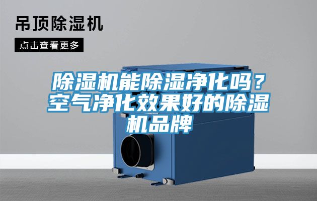 除濕機(jī)能除濕凈化嗎？空氣凈化效果好的除濕機(jī)品牌