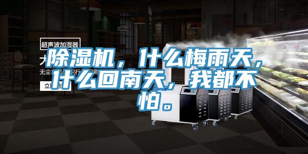 除濕機(jī)，什么梅雨天，什么回南天，我都不怕。