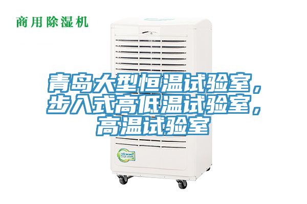 青島大型恒溫試驗(yàn)室，步入式高低溫試驗(yàn)室，高溫試驗(yàn)室