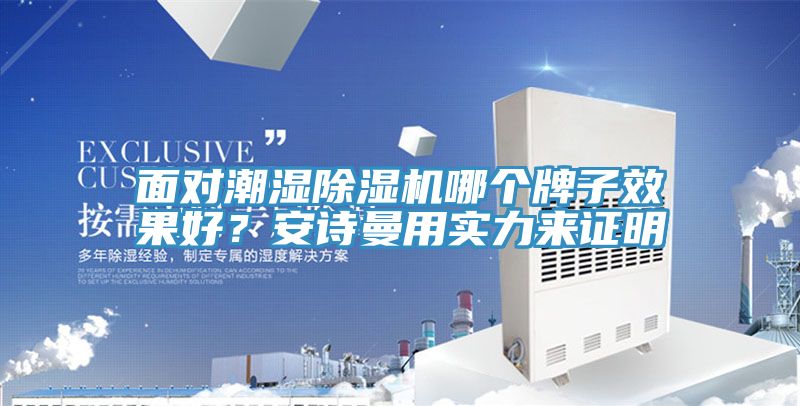 面對(duì)潮濕除濕機(jī)哪個(gè)牌子效果好？安詩曼用實(shí)力來證明