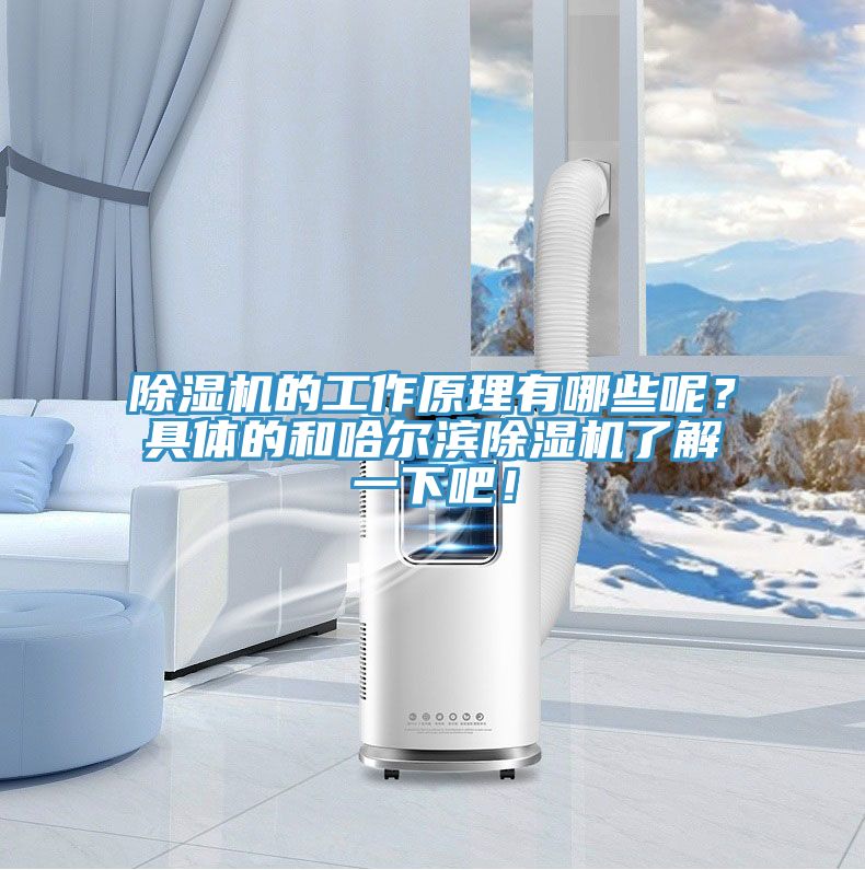 除濕機(jī)的工作原理有哪些呢？具體的和哈爾濱除濕機(jī)了解一下吧！