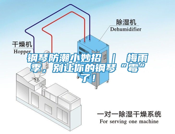 鋼琴防潮小妙招 ｜ 梅雨季，別讓你的鋼琴“霉”了！