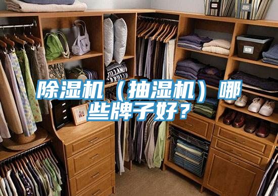 除濕機(jī)（抽濕機(jī)）哪些牌子好？