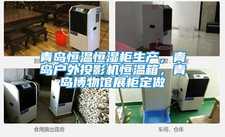 青島恒溫恒濕柜生產(chǎn)，青島戶(hù)外投影機(jī)恒溫箱，青島博物館展柜定做