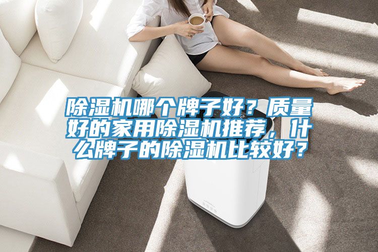 除濕機(jī)哪個牌子好？質(zhì)量好的家用除濕機(jī)推薦，什么牌子的除濕機(jī)比較好？